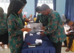 Pilkades Serentak Berakhir, Inilah para pemenangnya